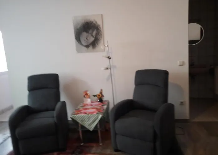 Singerstr 14 Apartament *